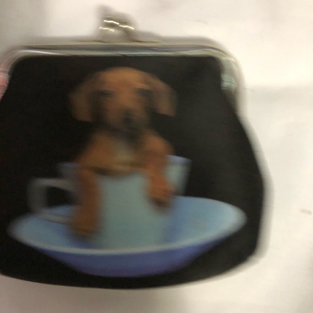 Coin purse